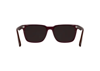 Bagside Lacoste L6077S (601)