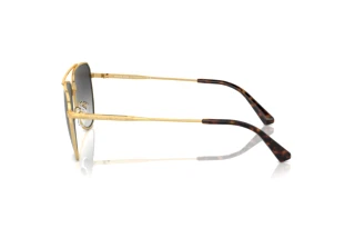 Sidevisning Michael Kors WHISTLER (MK1155 - 18968G)