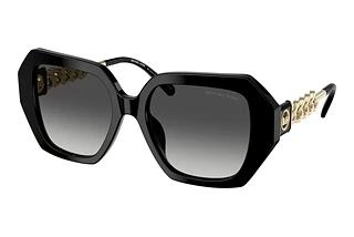 Michael Kors MK2232U 30058G Dark Grey GradientBlack