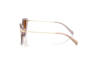 Sidevisning Michael Kors CATSKILLS (MK2246U - 401513)