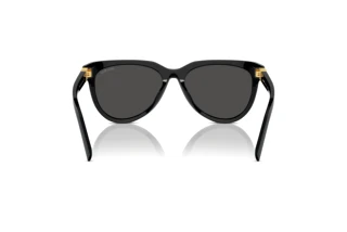 Bagside Miu Miu MU 12ZS (16K5S0)