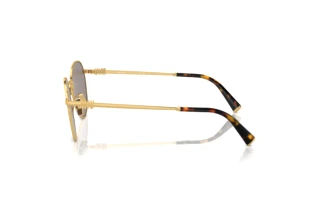 Sidevisning Miu Miu MU 55ZS (5AK07F)