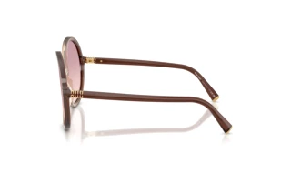 Sidevisning Miu Miu MU B02S (25G40S)