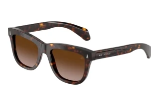 Forfra Moncler BRONZZ (ME6023 - 300213)