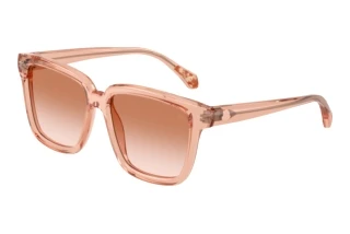 Forfra Moncler CLASICO (ME6026 - 304513)