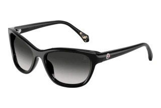 Forfra Moncler ME6031U (30013C)