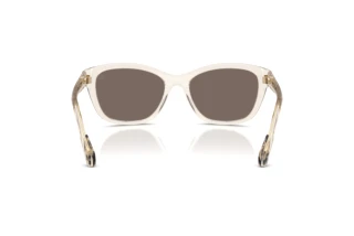 Bagside Moncler ME6031U (30032C)