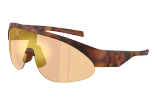 Forfra Moncler MYRR (ME8019U - 50267J)