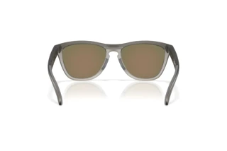 Bagside Oakley FROGSKINS RANGE XL (OO9503 - 950301)