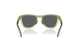 Bagside Oakley FROGSKINS RANGE XL (OO9503 - 950307)