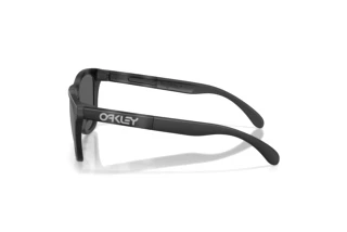 Sidevisning Oakley FROGSKINS RANGE XL (OO9503 - 950308)