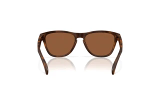 Bagside Oakley FROGSKINS S (OO9508 - 950803)