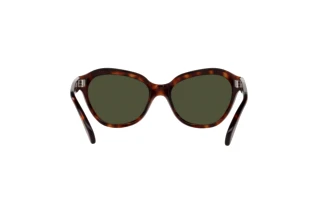 Bagside Persol PO0582S (24/31)