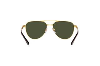Bagside Persol PO1003S (515/31)