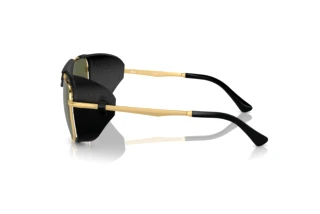 Sidevisning Persol PO1013SZ (114958)