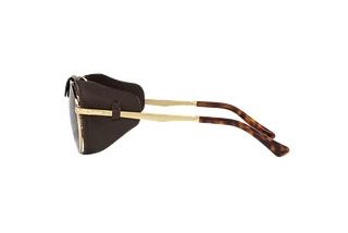 Sidevisning Persol PO2496SZ (114057)