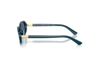 Sidevisning Polo PH4198U (546580)