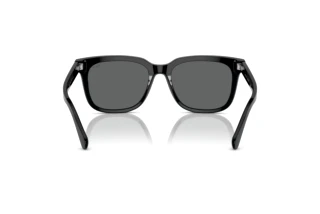 Bagside Polo PH4210 (500187)