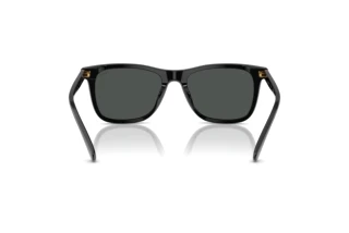 Bagside Polo PH4220U (500187)