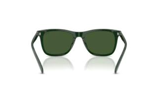 Bagside Polo PH4220U (614071)