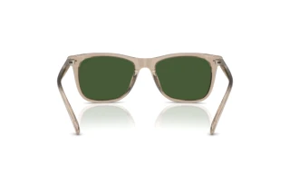 Bagside Polo PH4220U (620171)