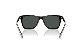 Bagside Polo PH4220U (620287)