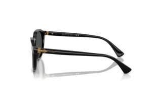 Sidevisning Polo PH4221 (500187)