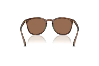 Bagside Polo PH4222U (597473)