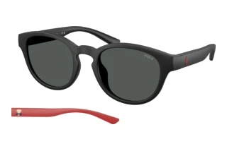 Forfra Polo PH4233U (550487)