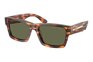 Prada PR 25ZS 16S03R Green PolarizedStriped Briar Tortoise