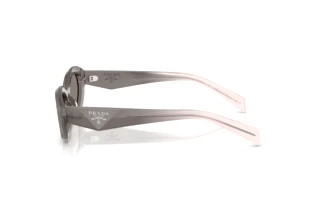 Sidevisning Prada PR 26ZS (20F80Q)