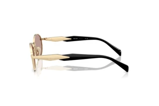 Sidevisning Prada PR 65ZS (ZVN20I)