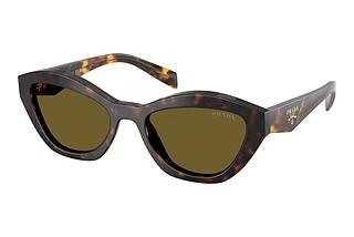 Prada PR A02S 17N09Z Dark BrownRoot Tortoise