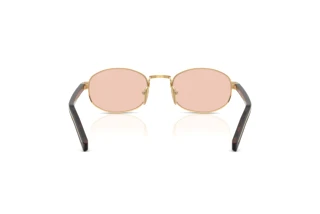 Bagside Prada PR B53S (5AK50V)