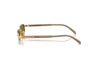 Sidevisning Prada PR B54S (5AK90F)