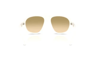 Bagside Prada PR C05S (17K20S)