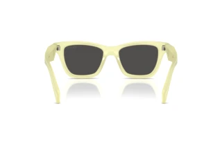 Bagside Prada PR C07S (21G08Z)