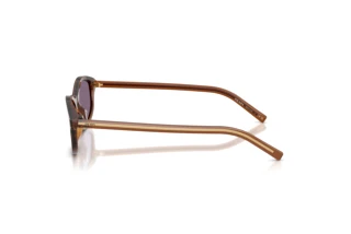 Sidevisning Prada PR D17S (25O70W)
