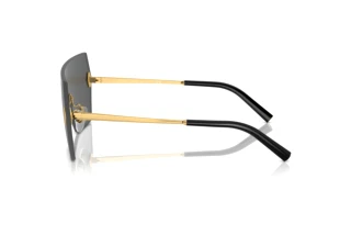 Sidevisning Ralph Lauren THE HARPER (RL7085 - 900487)