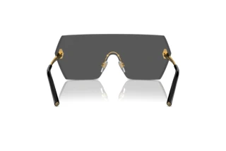 Bagside Ralph Lauren THE HARPER (RL7085 - 900487)