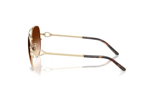 Sidevisning Ralph Lauren RL7087 (911674)