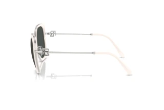 Sidevisning Ralph Lauren RL7088 (900187)