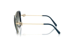 Sidevisning Ralph Lauren RL7088 (911611)