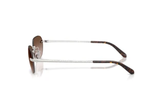 Sidevisning Ralph Lauren RL7089 (900113)