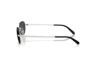 Sidevisning Ralph Lauren RL7089 (900187)