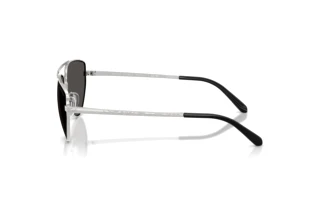 Sidevisning Ralph Lauren RL7090 (900187)