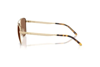 Sidevisning Ralph Lauren RL7091 (947873)