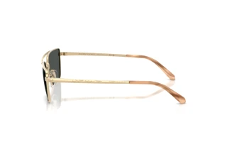 Sidevisning Ralph Lauren RL7092 (911687)