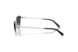 Sidevisning Ralph Lauren RL7093 (900187)