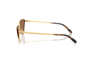 Sidevisning Ralph Lauren RL7093 (900473)